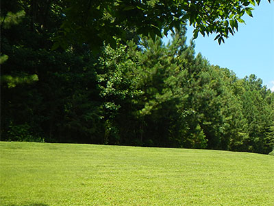 Lawn Care Huntersville Charlotte, Landscaping Companies Huntersville Nc