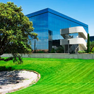 Commercial Lawn Care Services